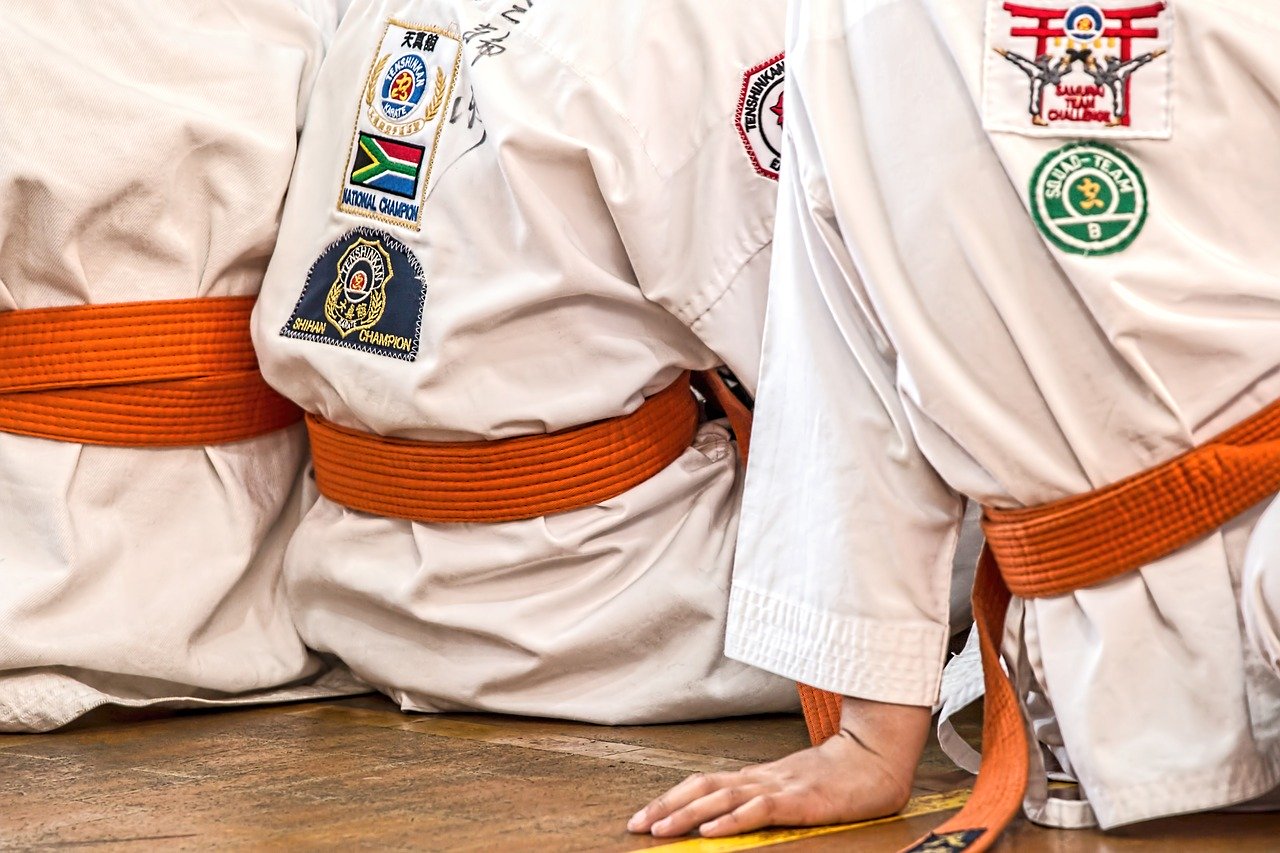 O czym świadczą poszczególne kolory pasa do taekwondo?