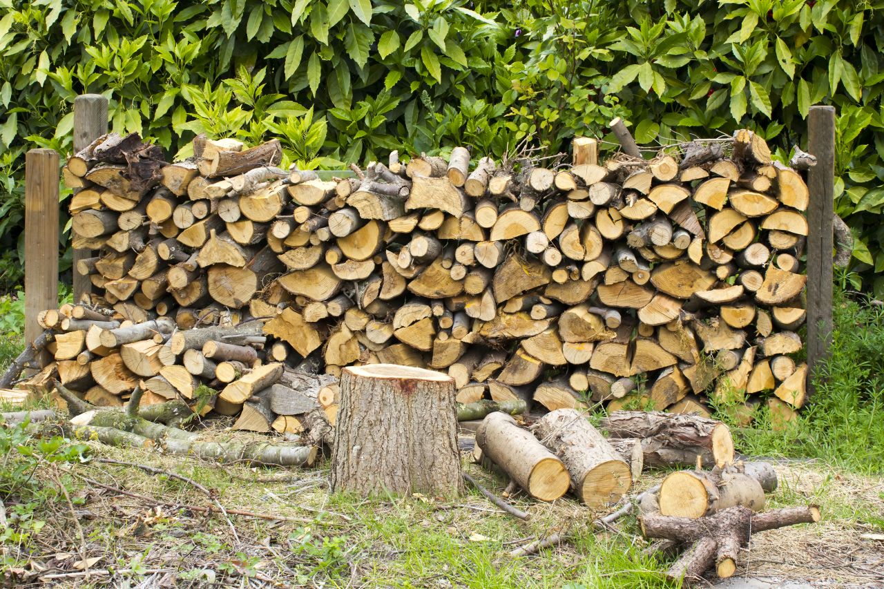 Jak bezpiecznie przewieźć drewno na opał na swoją posesję?