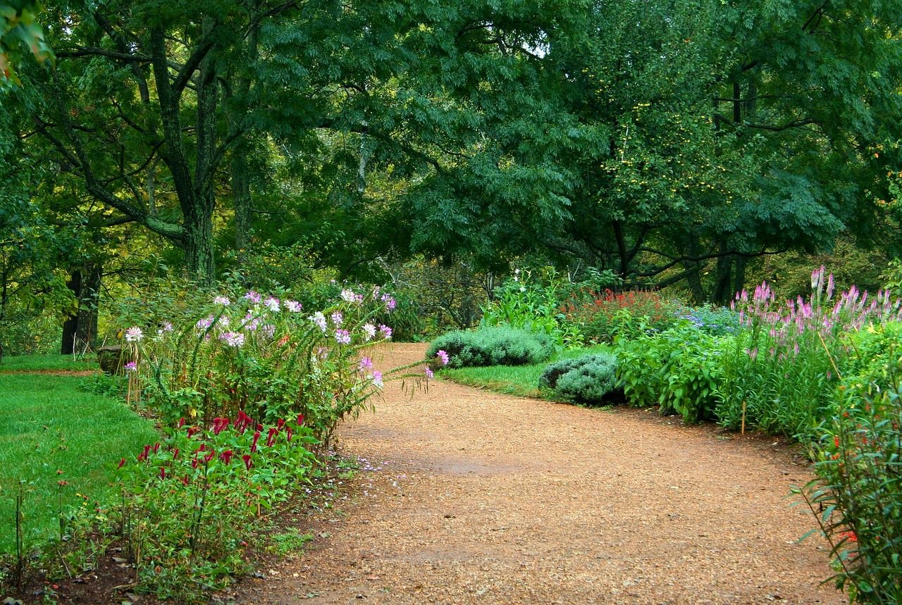 Jakie są najpopularniejsze rodzaje obrzeży ogrodowych?